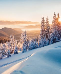 Winter Morning Fragrance